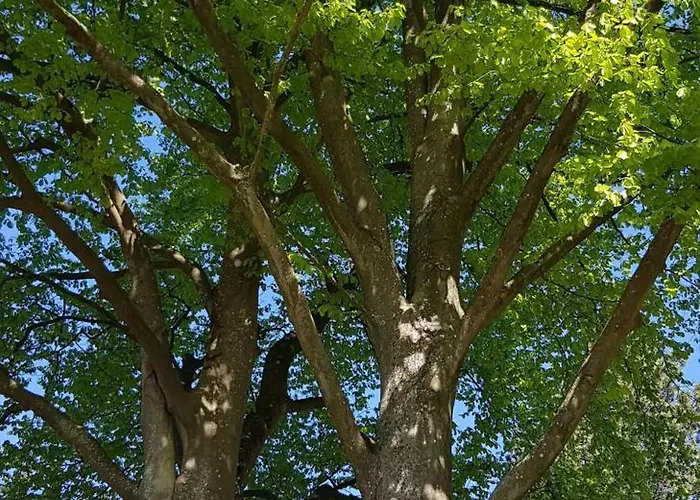 Pensjonat Schoen - Gluecksand Sandwig